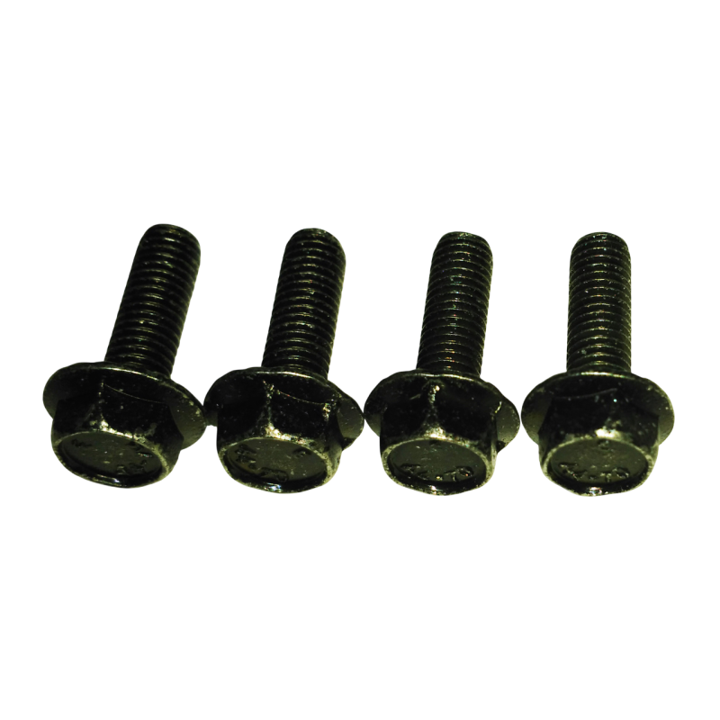 GLOBO Vis pour fixation